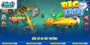 Bắn Cá H5