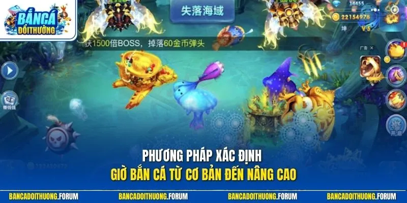 Phương pháp xác định giờ bắn cá từ cơ bản đến nâng cao